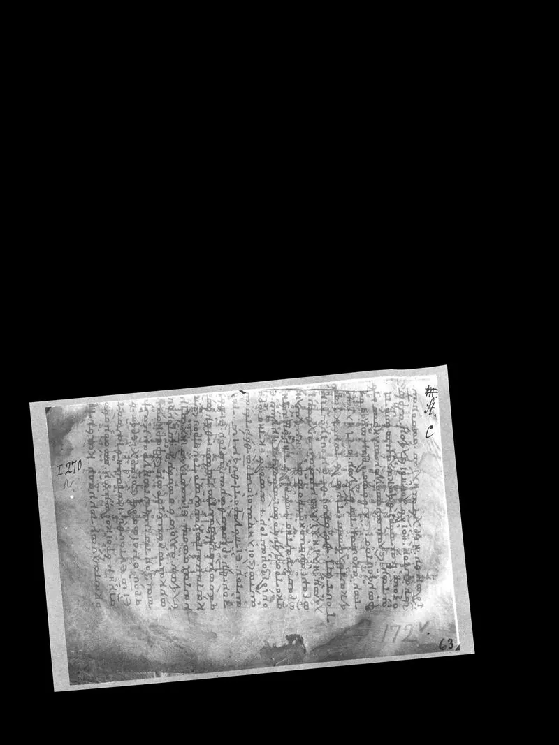 The Archimedes Palimpsest (Codex C)