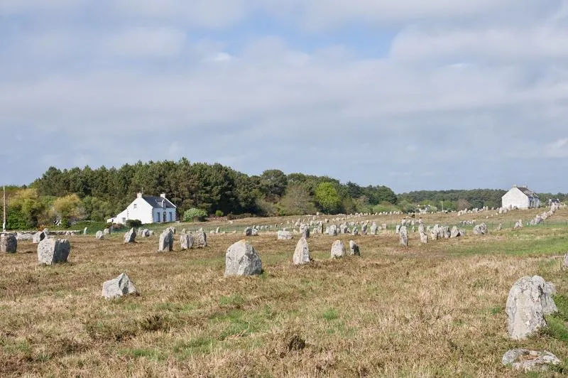 The standing rows of Le Ménec, Kermario and Kerlescan: photo