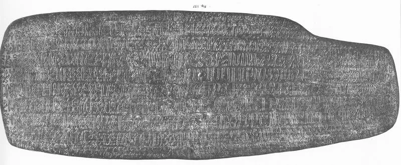 The four rongorongo tablets in Rome (Congregation of the Sacred Hearts of Jesus and Mary): photo