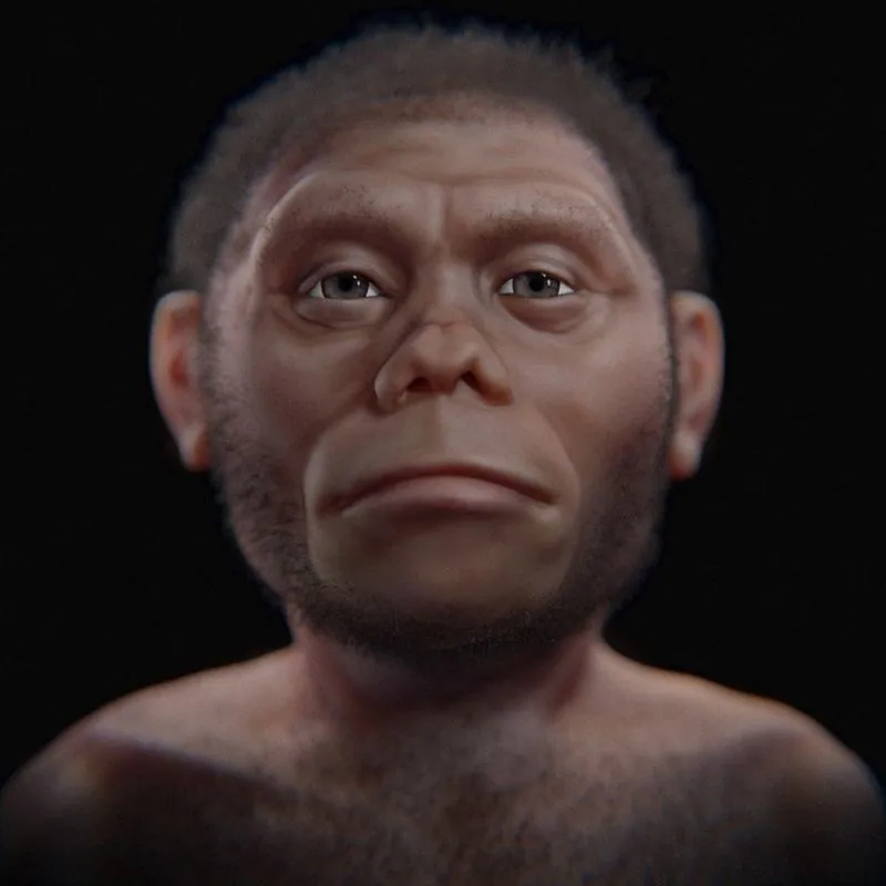 LB1, type specimen of Homo floresiensis: photograph