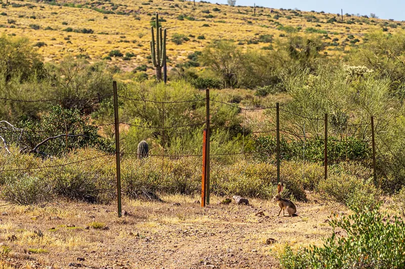 Lost Dutchman State Park