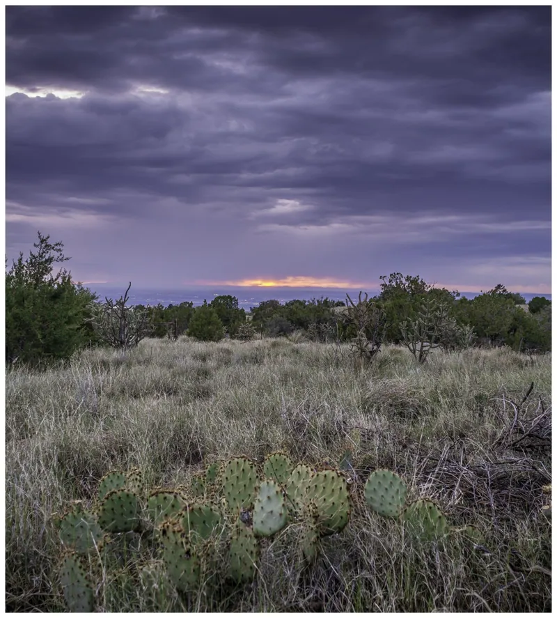 Photograph: Elena Gallegos Open Space