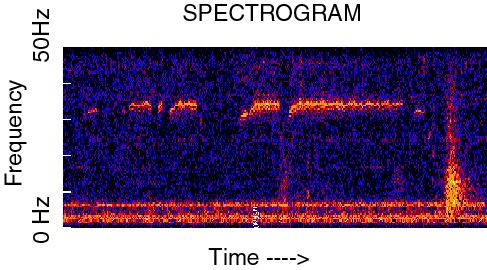The Train recording: document