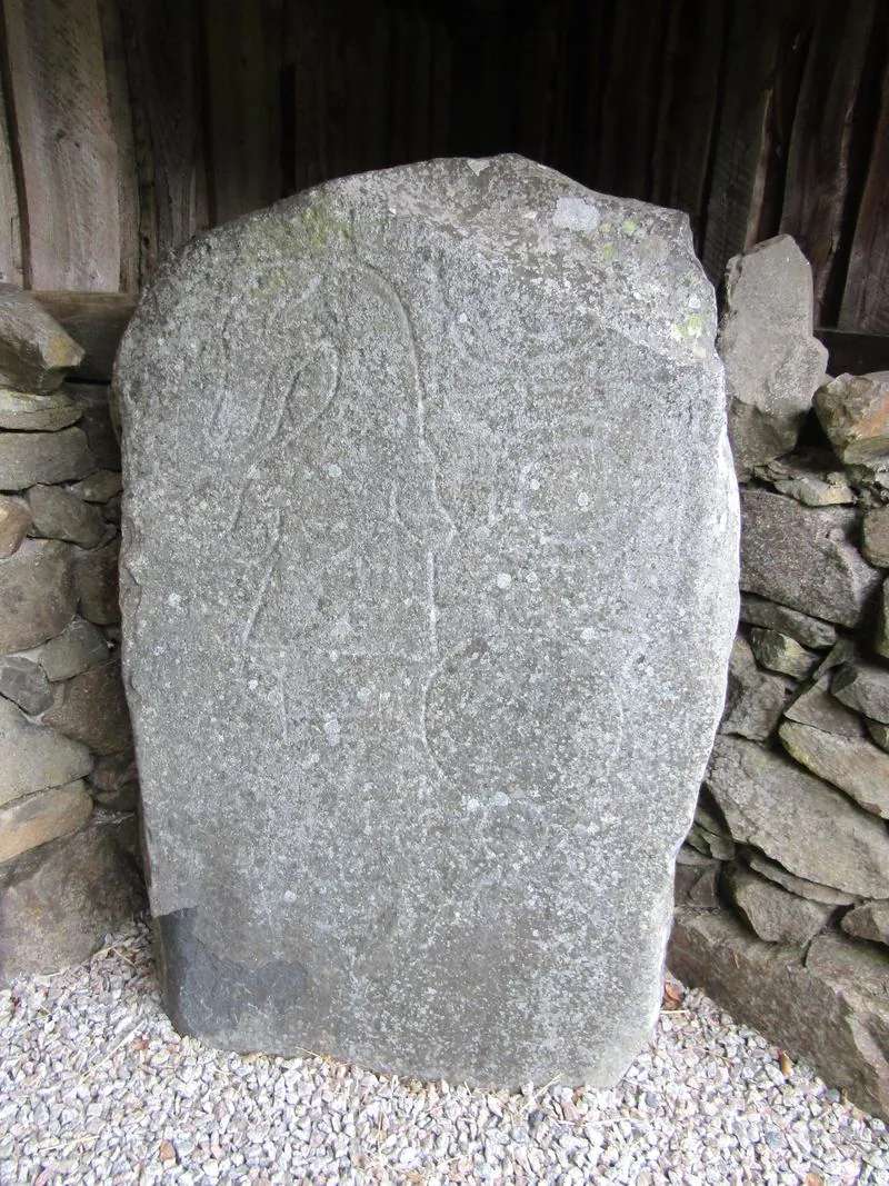 The Rhynie symbol stones