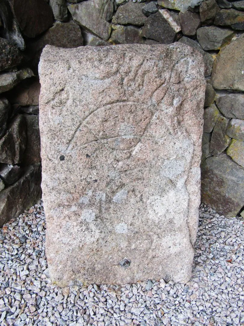 The Rhynie symbol stones: photograph