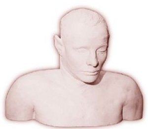 Plaster bust (death cast) of the Somerton Man, with hair embedded