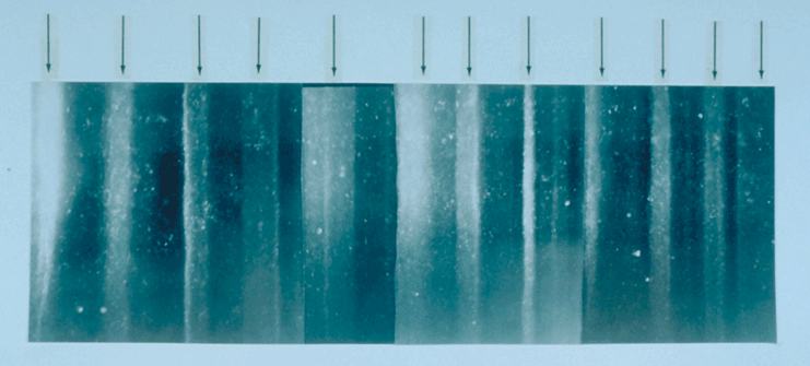 The GISP2 ice core: photo